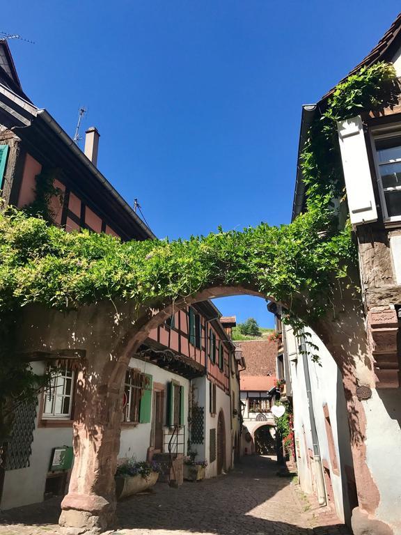 Les Authentics - La Maison D'Amelie Riquewihr Zewnętrze zdjęcie